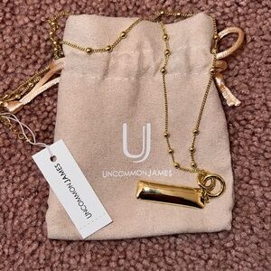 Uncommon James necklace and jewelry pouch